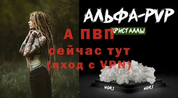 крисы Алексин