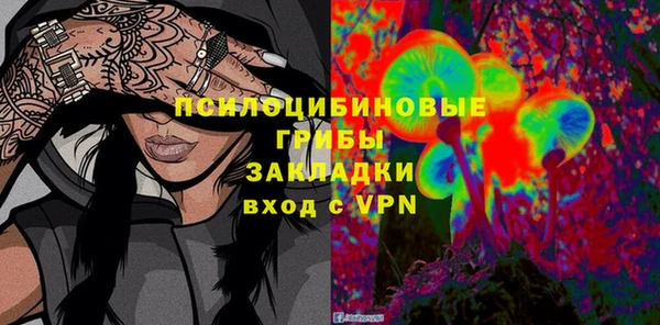 крисы Алексин