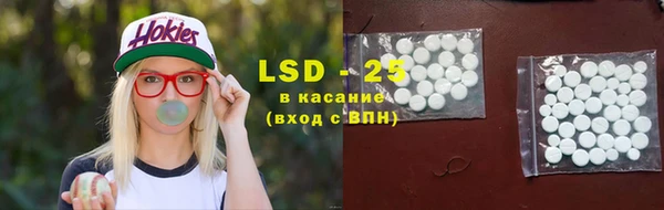 хмурый Алзамай