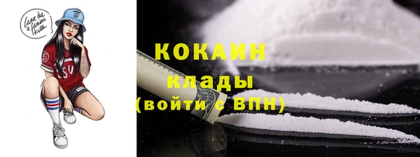 хмурый Алзамай