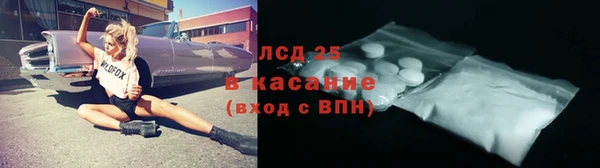 хмурый Алзамай