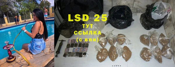 крисы Алексин