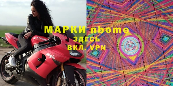 хмурый Алзамай
