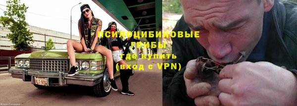 хмурый Алзамай