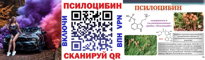 Галлюциногенные грибы MAGIC MUSHROOMS Заполярный